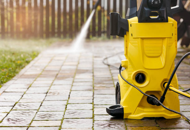 Animal Enclosure Cleaning in Rye Brook, NY